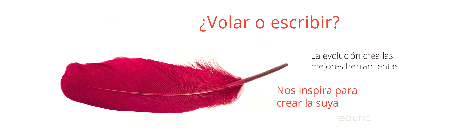 slide-201512-soltic-pluma slide-201512-soltic-pluma